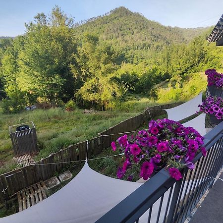 Agriturismo Terre Di Ginepro 보르게토 디 바라 외부 사진